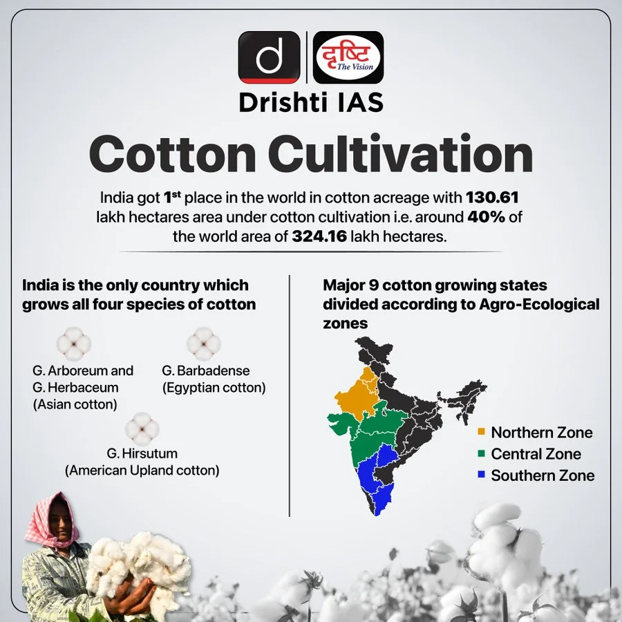 Cotton Cultivation